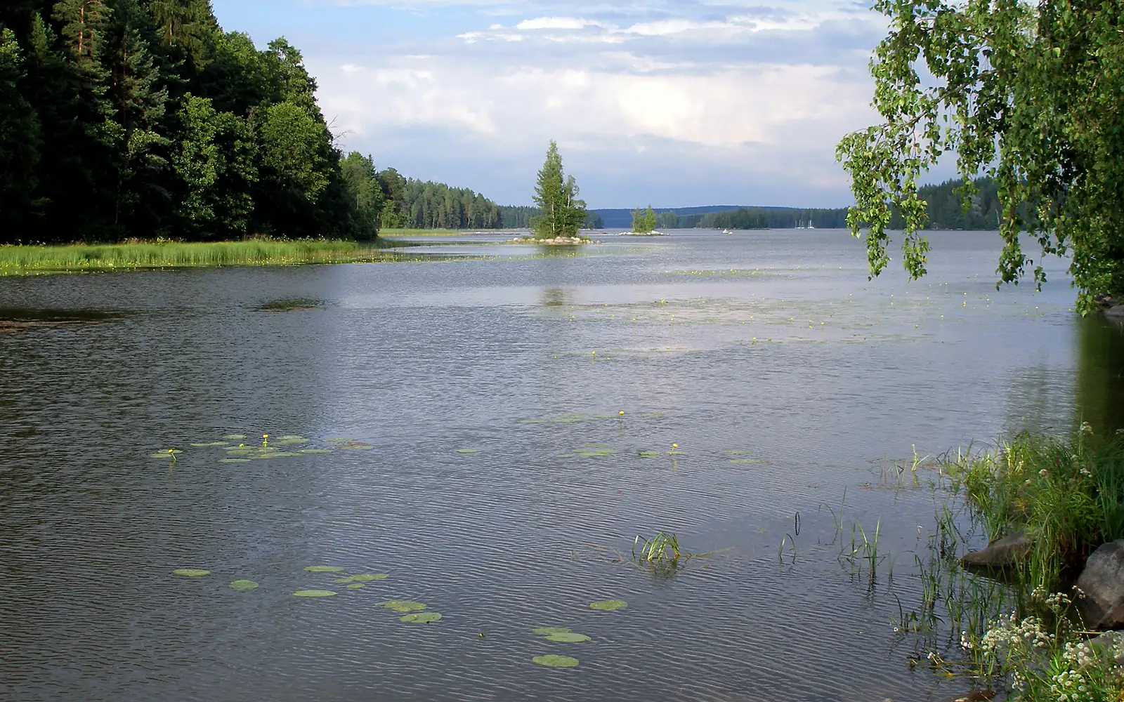 Mallasvesi