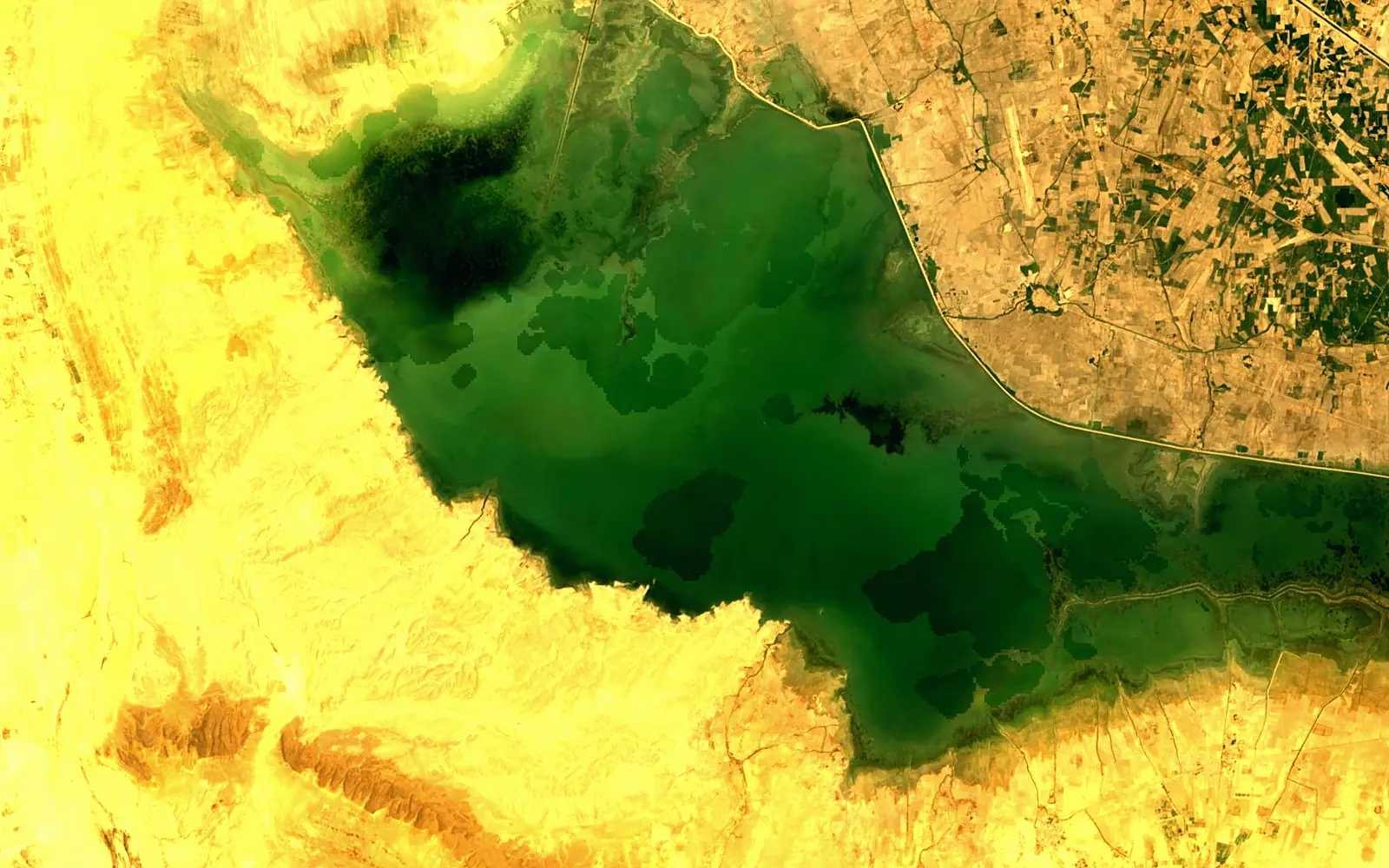 Manchar Lake seen from space (Sentinel-2)