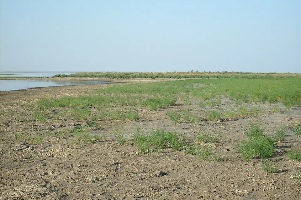 Manych-Gudilo Lake near the village of Manychsky, Yashaltinsky District, Kalmykia, Russia