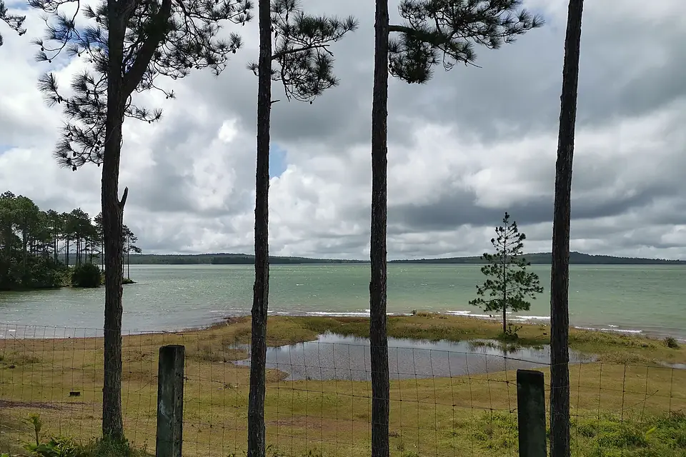 Mare aux Vacoas Mauritius 2019-09-28 3