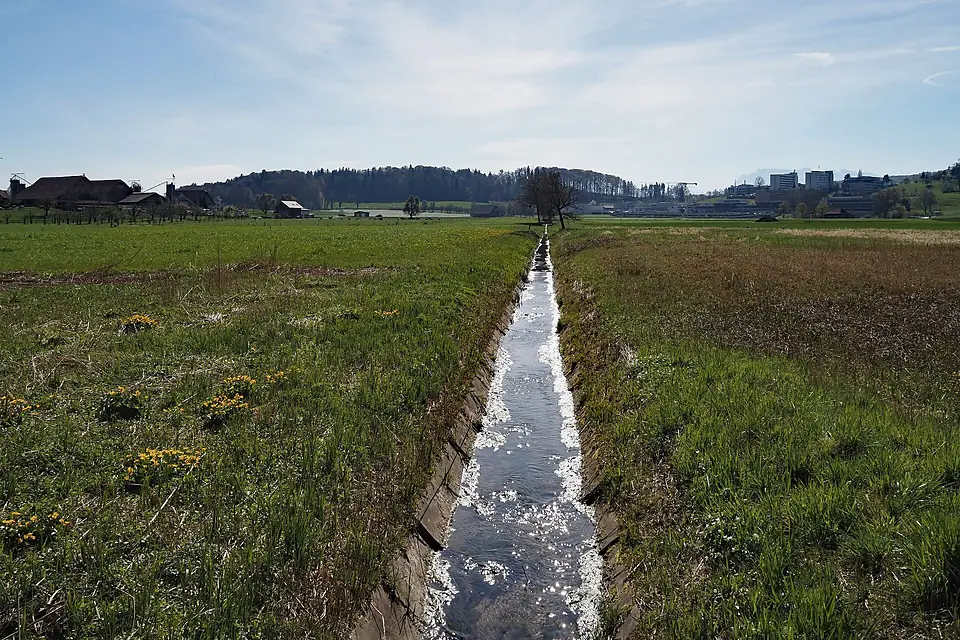 Bognauerbach im Moos bei Bognau (Mauensee)