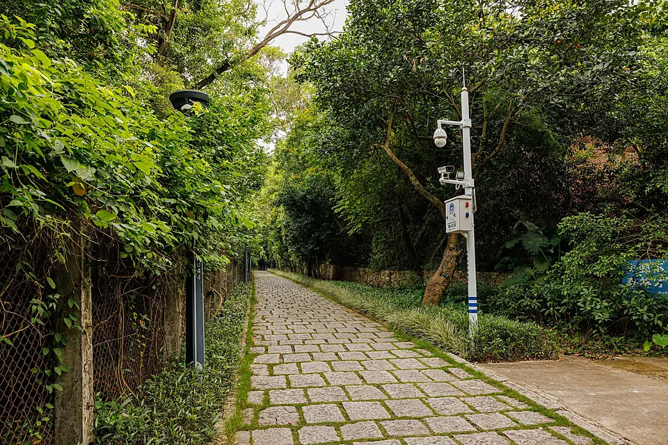 FUTIAN MEILIN GREENWAY (2)