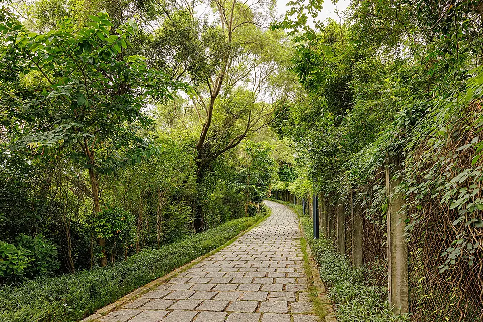 FUTIAN MEILIN GREENWAY