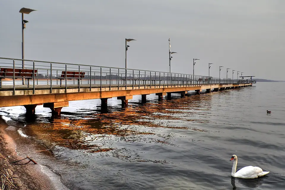 Jezioro Miedwie - panoramio (2)