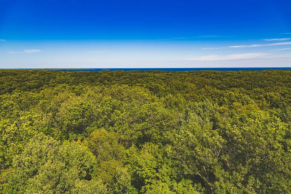 Above the tree canopy - Mille Lacs Lake from Kathio Observation Tower, Minnesota (29035822884)
