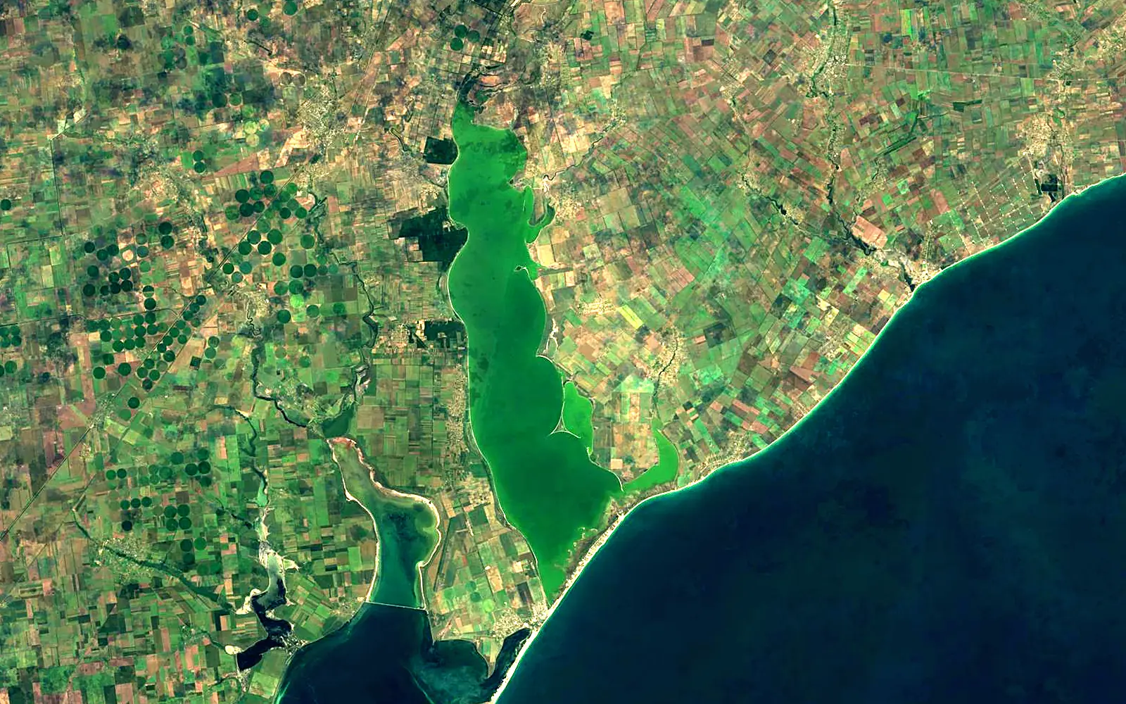 Molochnyi lyman seen from space (Sentinel-2)