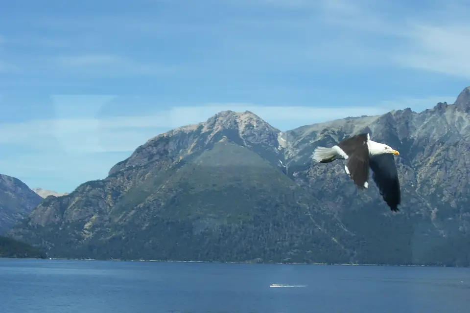 100 5359 Lago Nahuel Huapi
