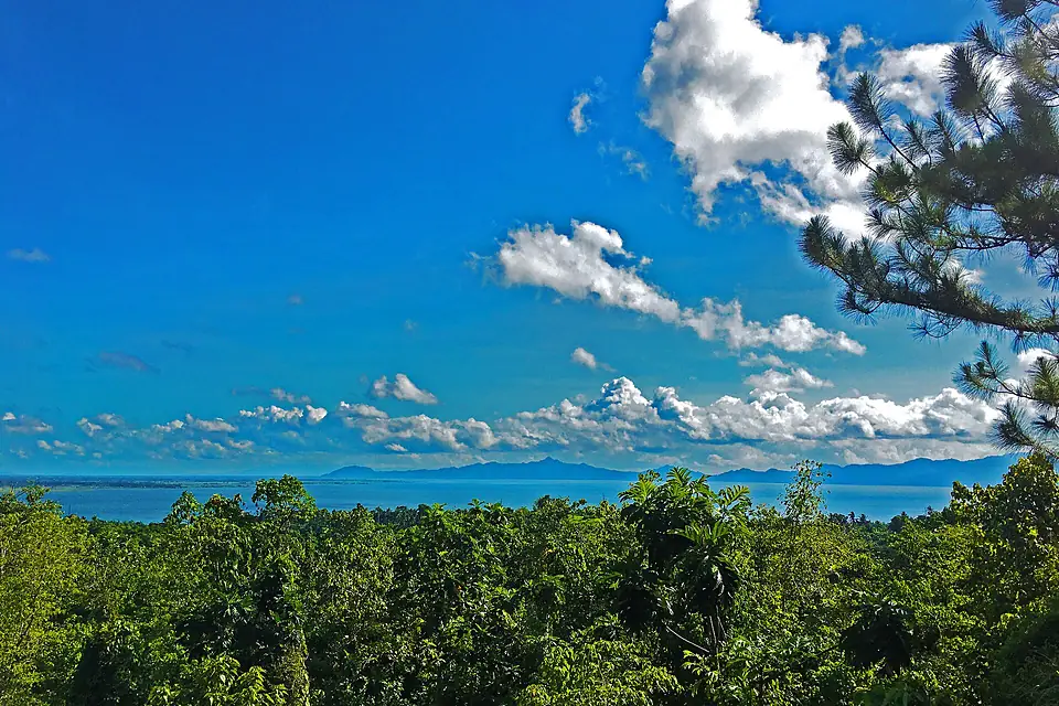 Naujan Lake National Park View 1