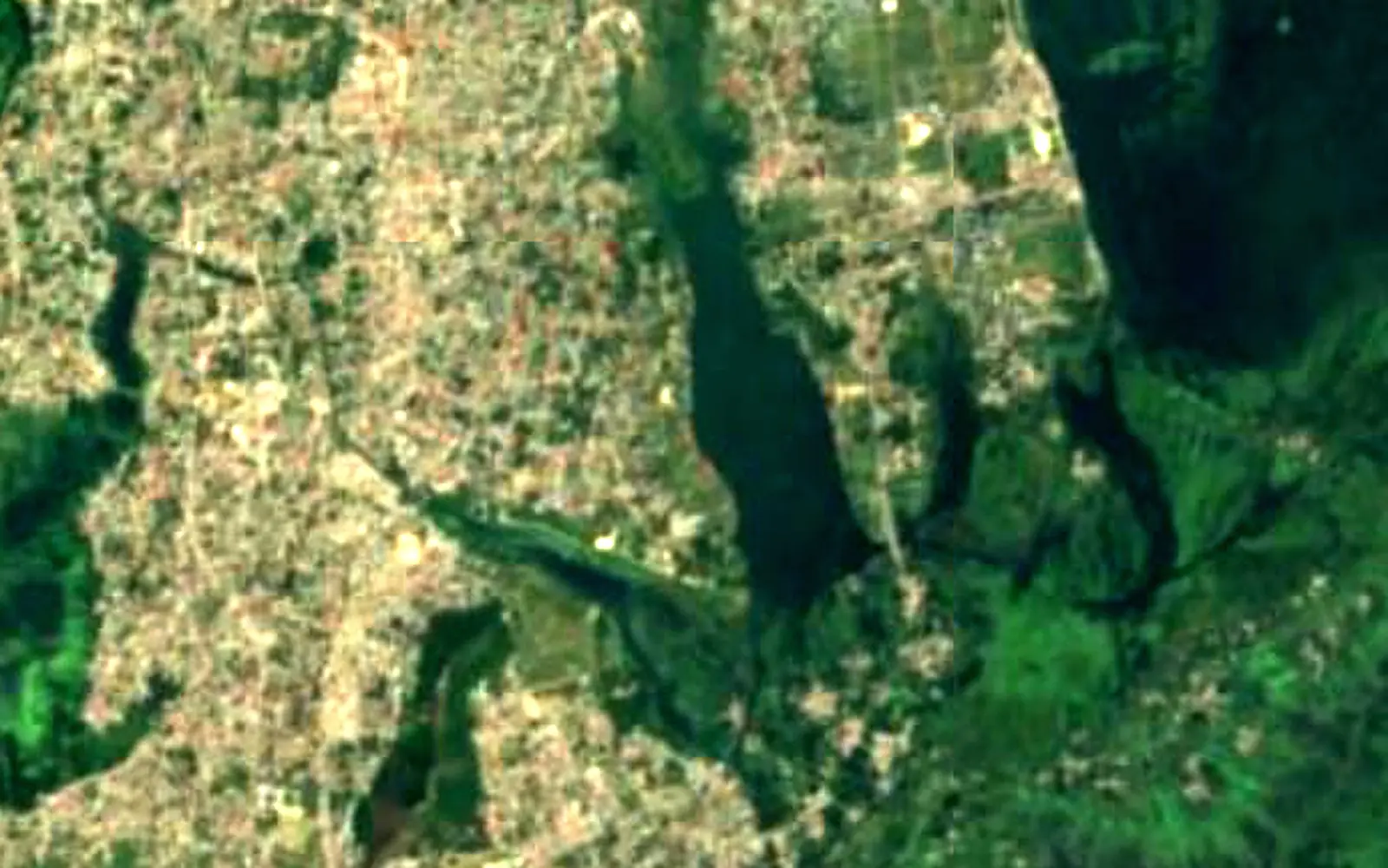 Nigeen Lake seen from space (Sentinel-2)