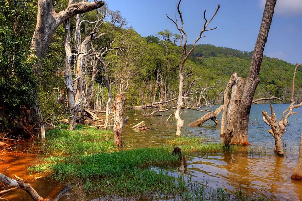 Nong Fa Lake - 3