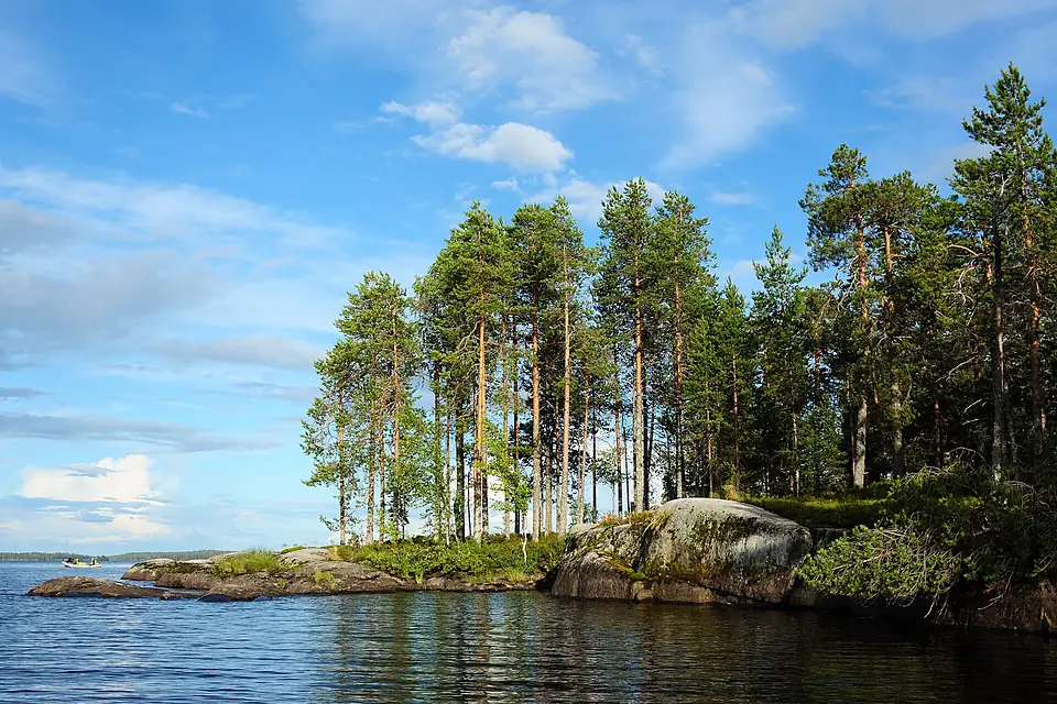 Pine trees on Nyuk lake