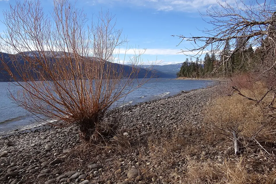 Along the Shore of Okanagan Lake - Lake Country - BC - Canada - 03 (8540388911)