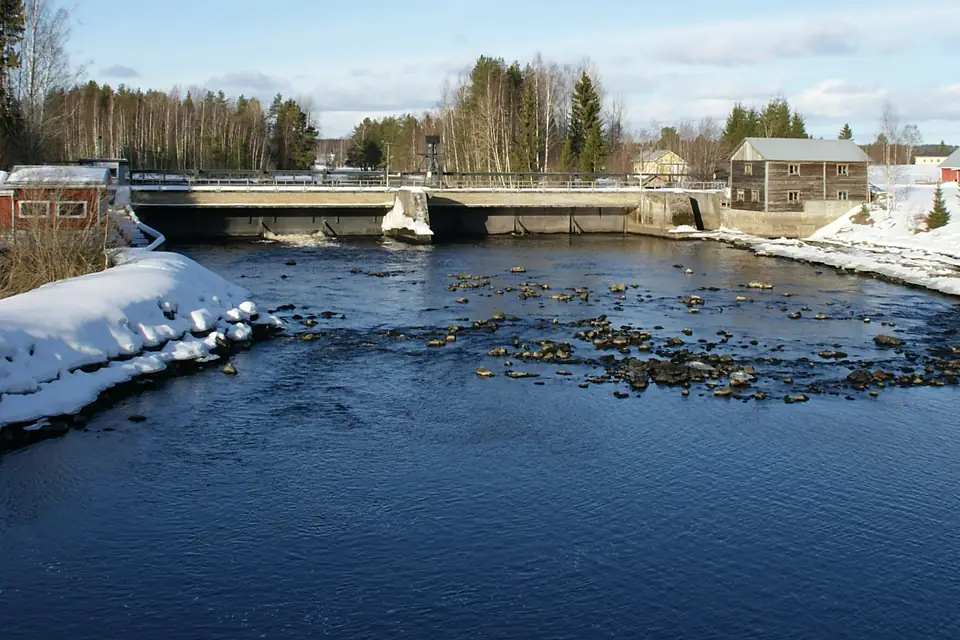 Viannankoski ja pato