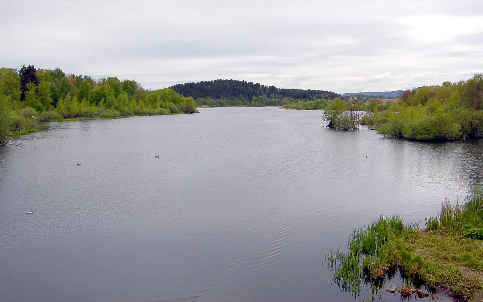 Ostensjovannet
