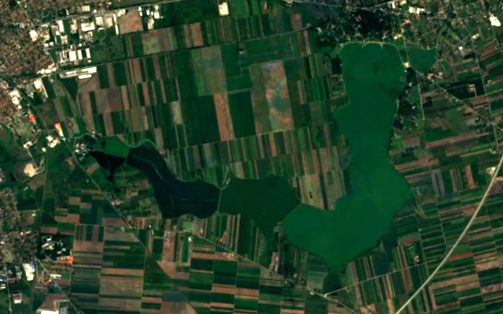 Palić Lake seen from space (Sentinel-2)