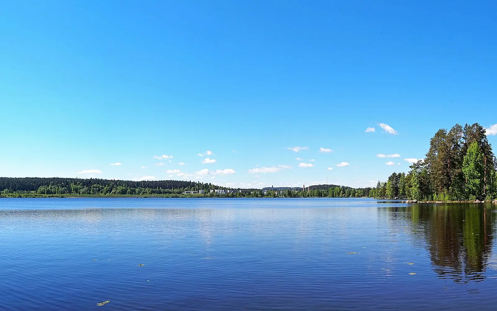 Palokkajärvi4