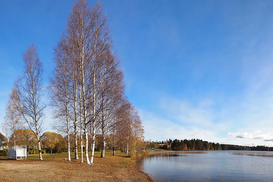 Beach in Palokka