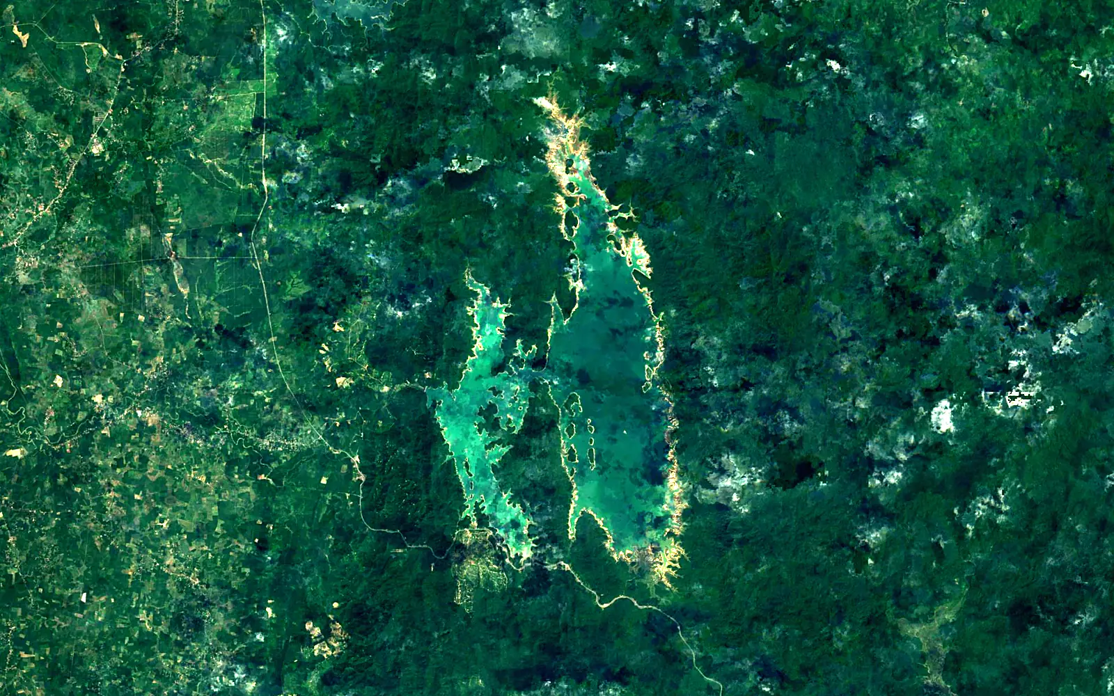 Pedu Lake seen from space (Sentinel-2)