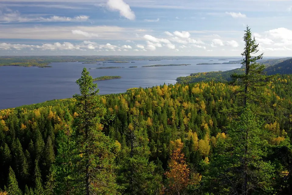 Näkymä Ukko-Kolilta Pieliselle - Kansallismaisemaa
