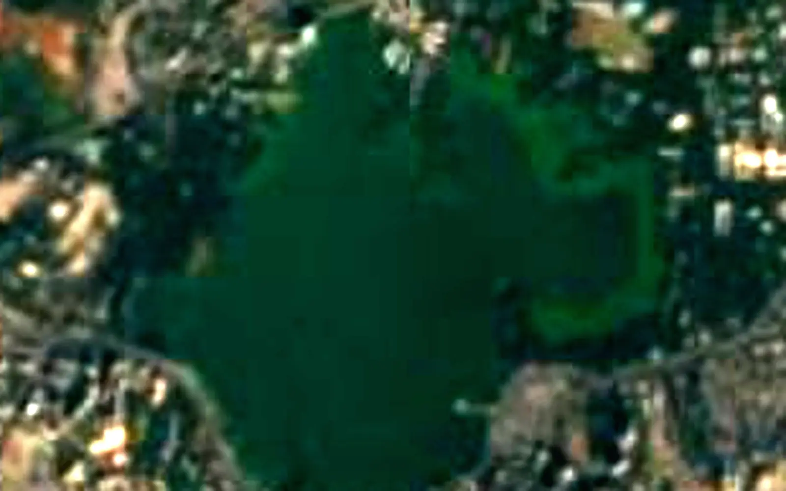 Powai Lake seen from space (Sentinel-2)