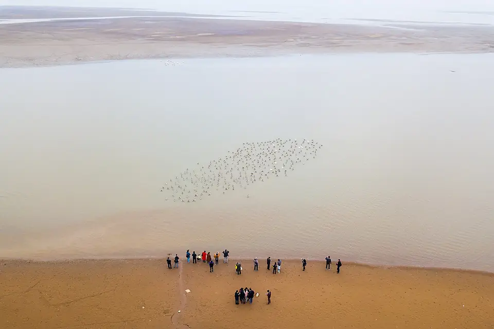 Poyang Baishazhou 2017.11.25 15-05-05