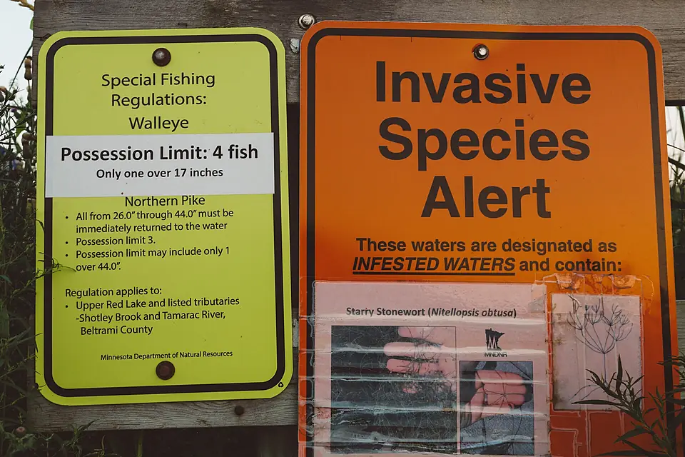 Invasive Species Alert and Special Fishing Regulations - Upper Red Lake, Minnesota (37642387111)