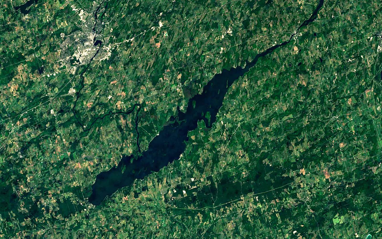 Rice Lake seen from space (Sentinel-2)