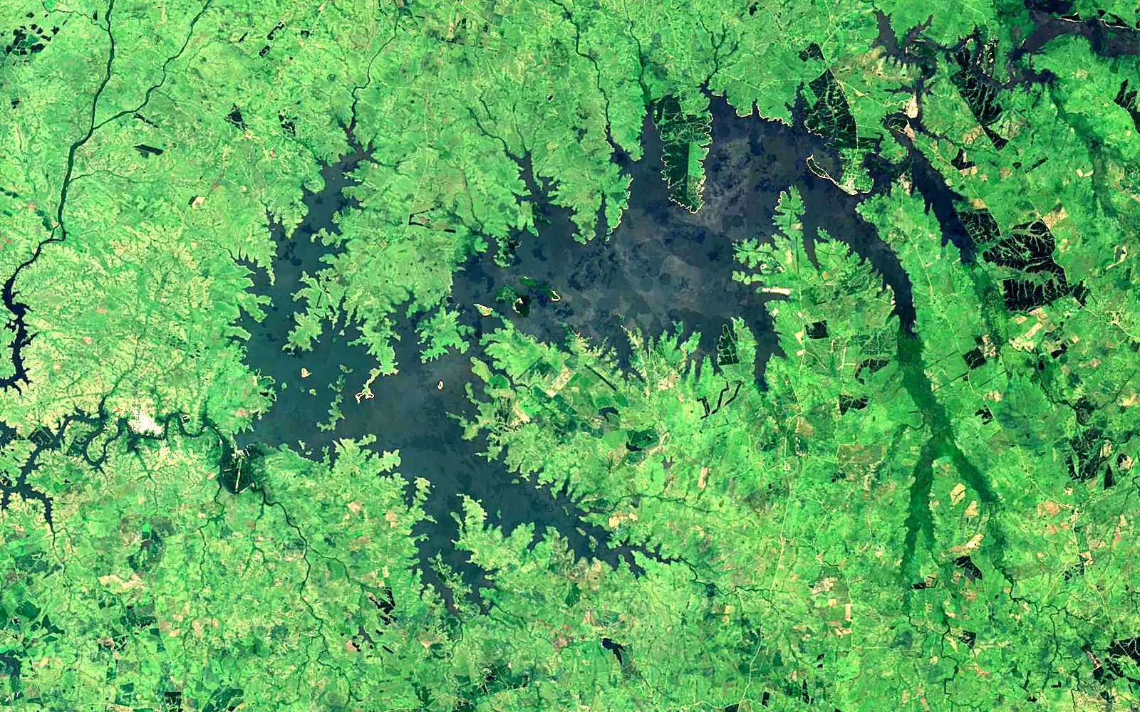 Rincón del Bonete Lake seen from space (Sentinel-2)