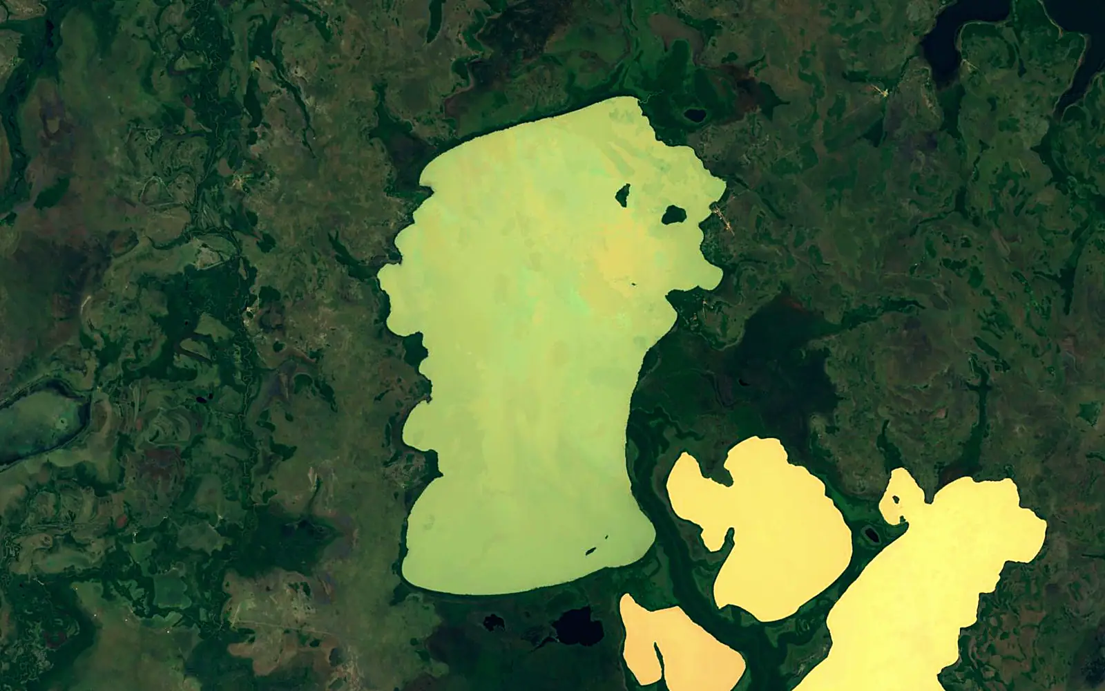 Rogaguado Lake seen from space (Sentinel-2)