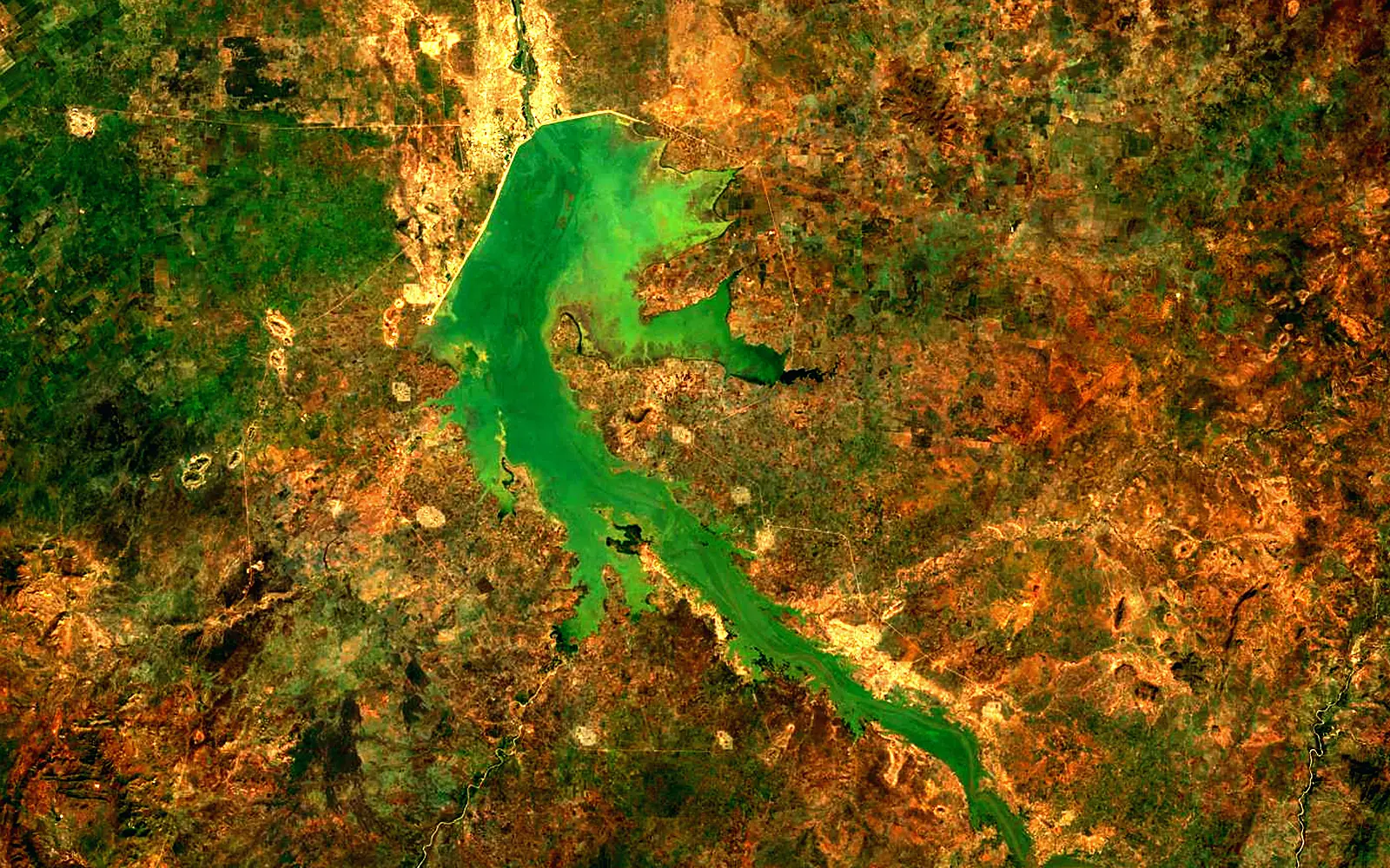 Roseires Reservoir seen from space (Sentinel-2)