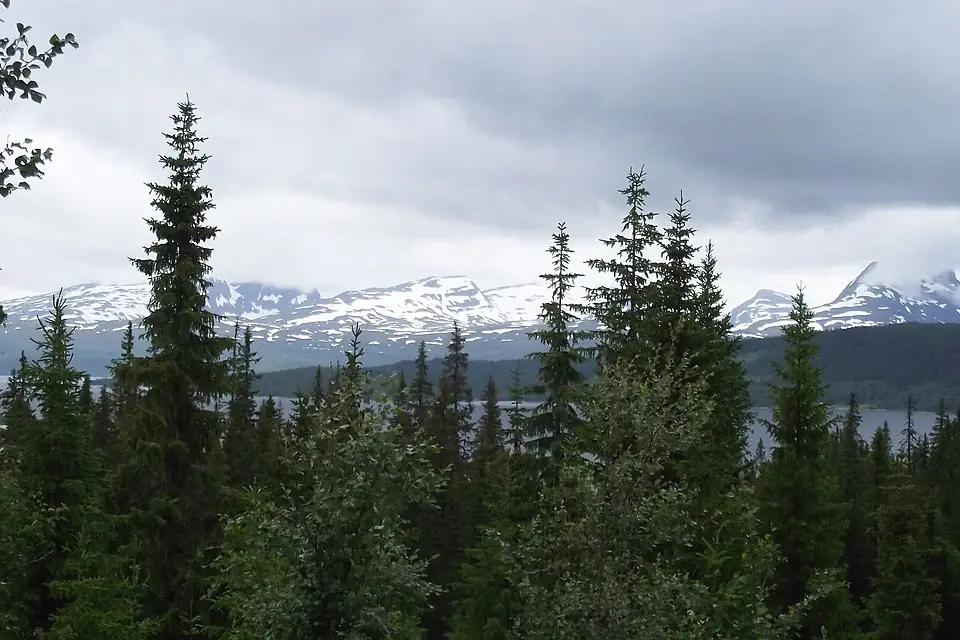 Innsjø Røssvatnet - panoramio