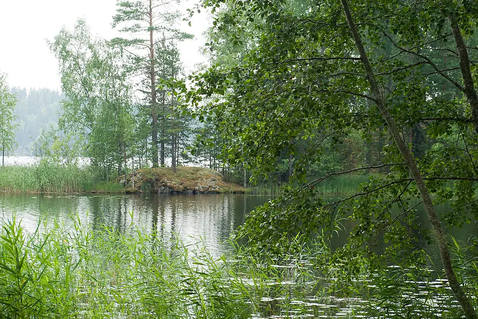 Ruotsalainen