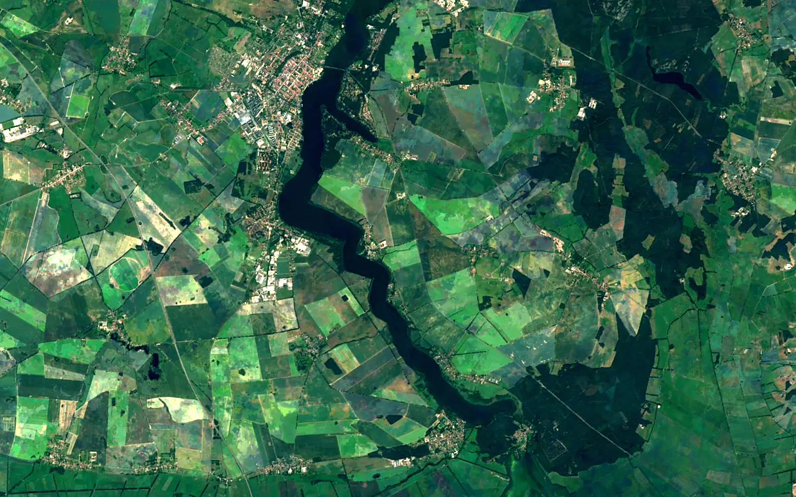 Ruppiner See seen from space (Sentinel-2)