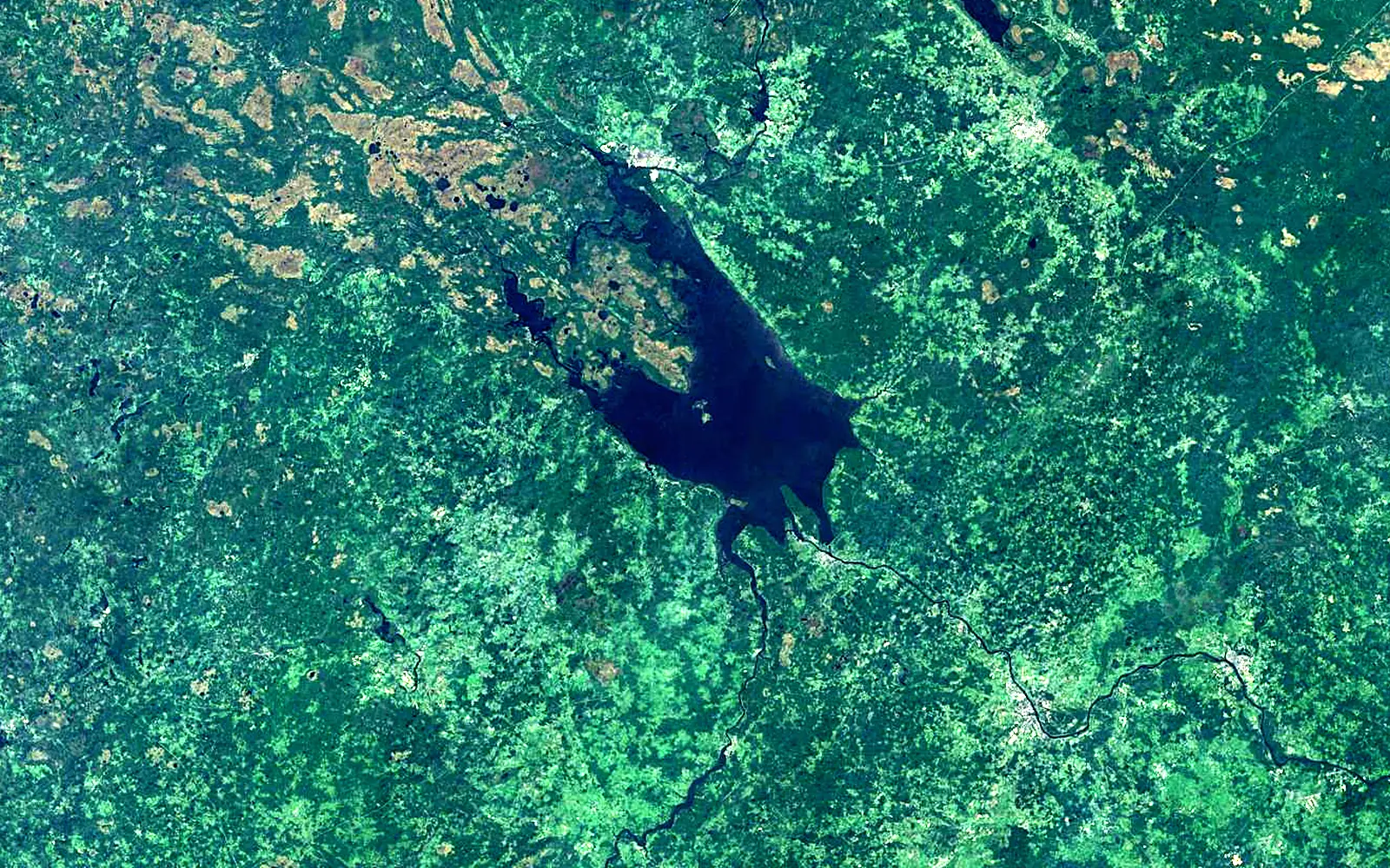 Rybinsk Reservoir seen from space (Sentinel-2)