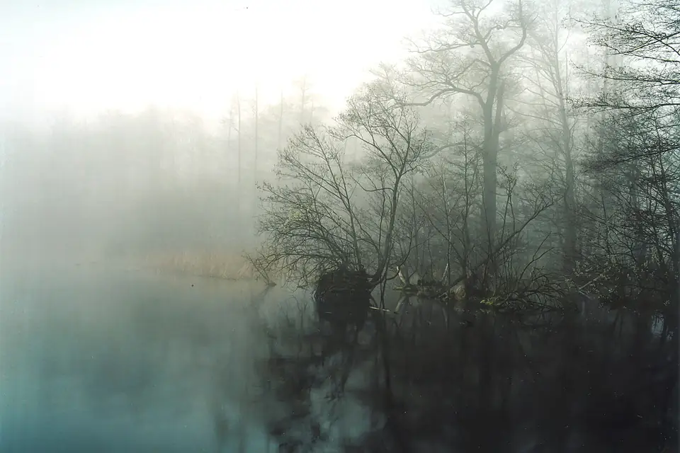 Sacrower See Frühnebel