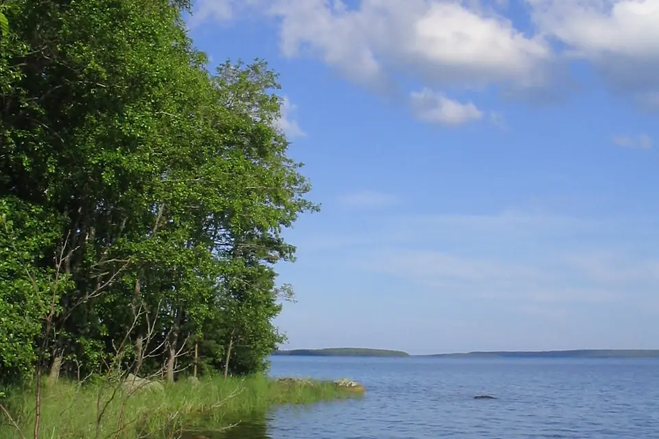 Raven Island (56683163)