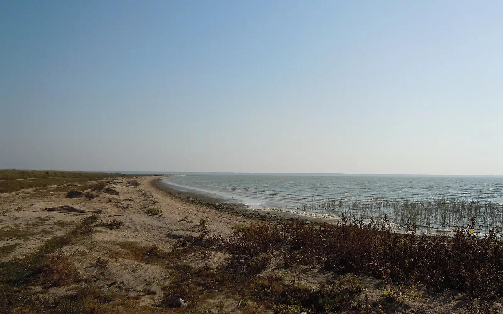 Sasyk Lagoon coast