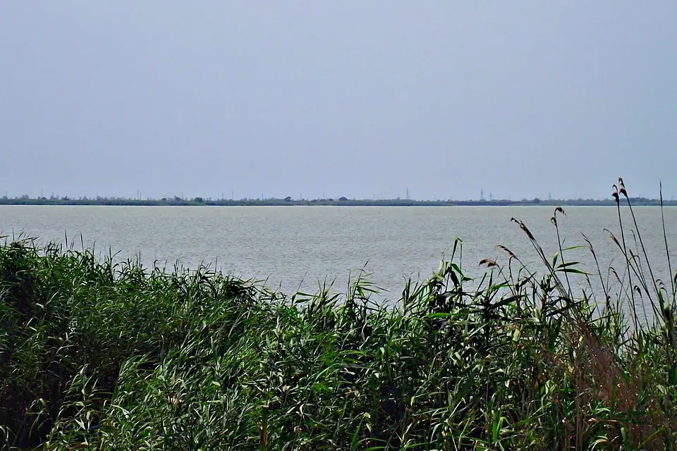 Tatarbunars'kyi district, Odessa Oblast, Ukraine - panoramio (11)