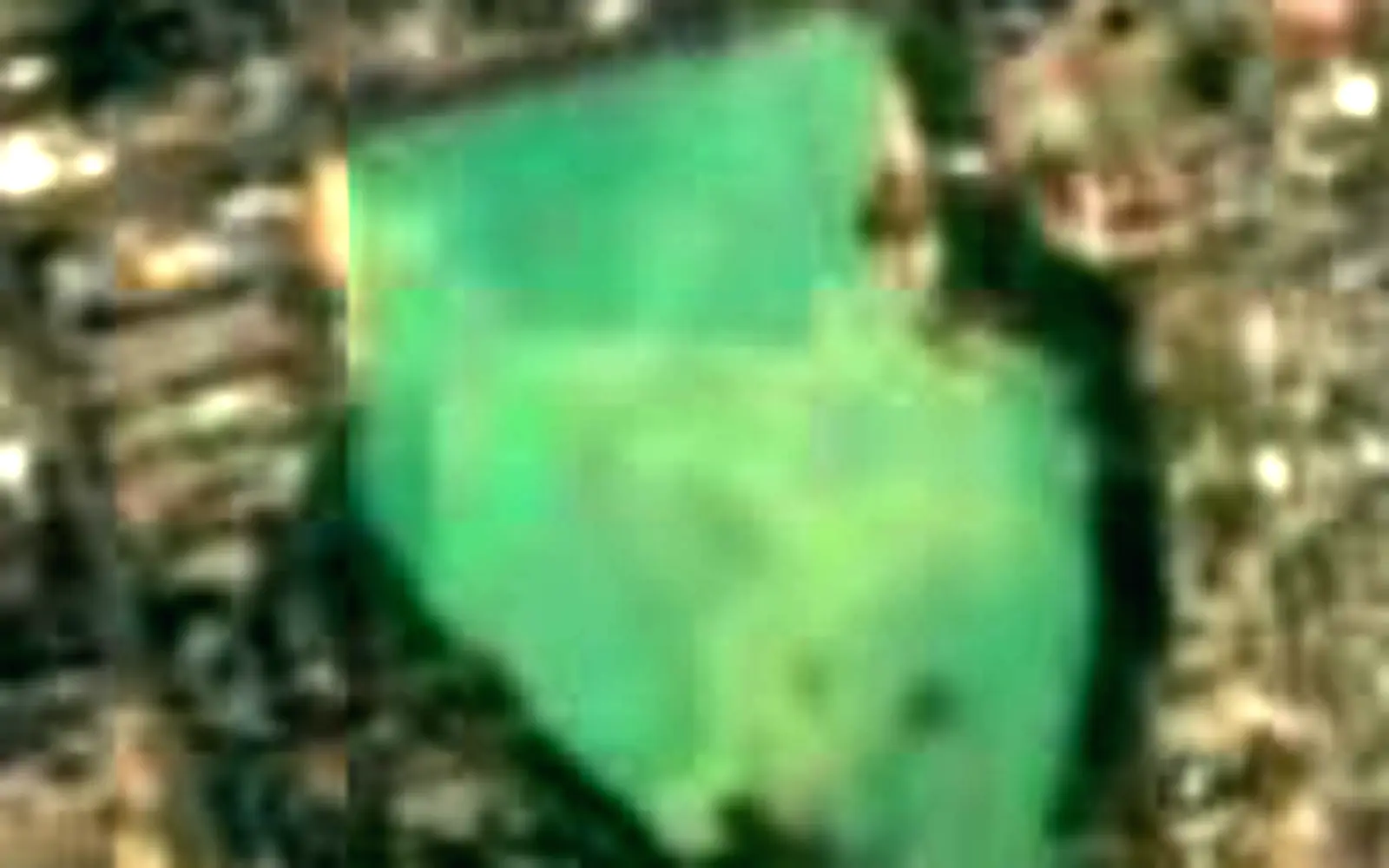 Sayran Lake seen from space (Sentinel-2)