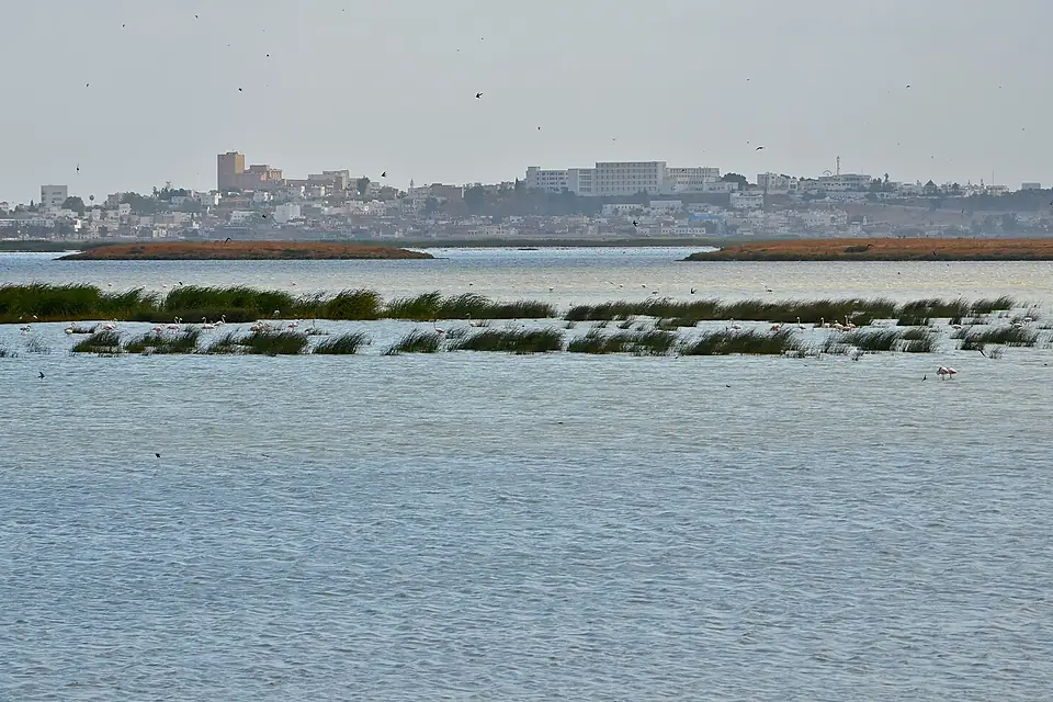 SABKHETT SIJOUMI 02