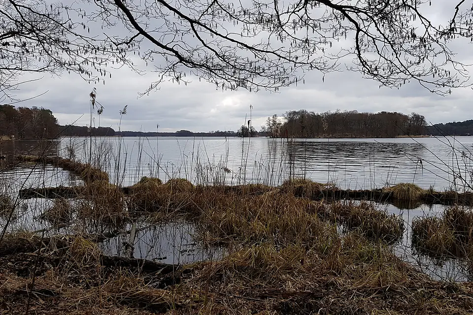 Seddinsee (März 2021) - Kleiner Seddinwall und Seddinwall