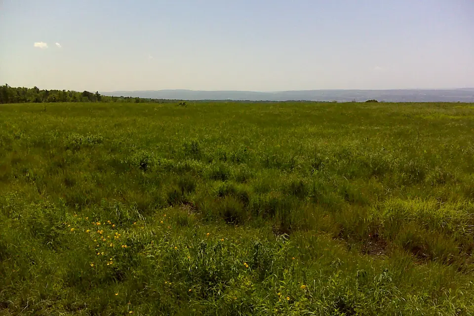 FLT I1 10.1 mi - View to SW across Seneca Lake - panoramio