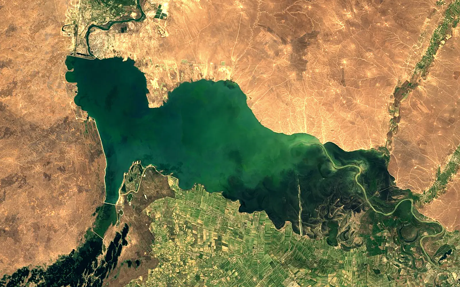 Shardara Reservoir seen from space (Sentinel-2)