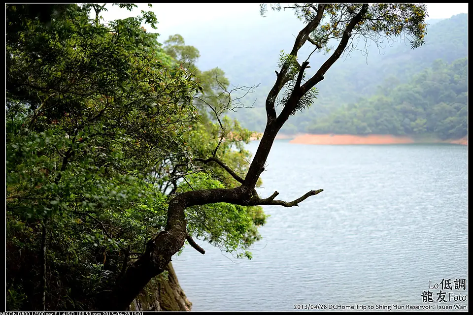 2013-04-28 DCHome Trip Shing Mun Reservoir (10) (8691058735)