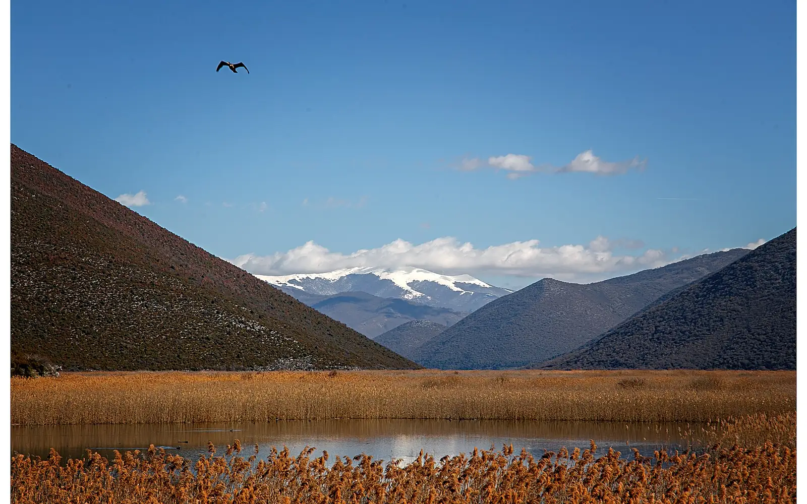 Lake of Small Prespa in Spring