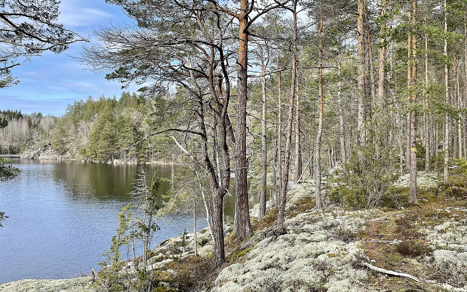 Sjövik naturreservat 2023c