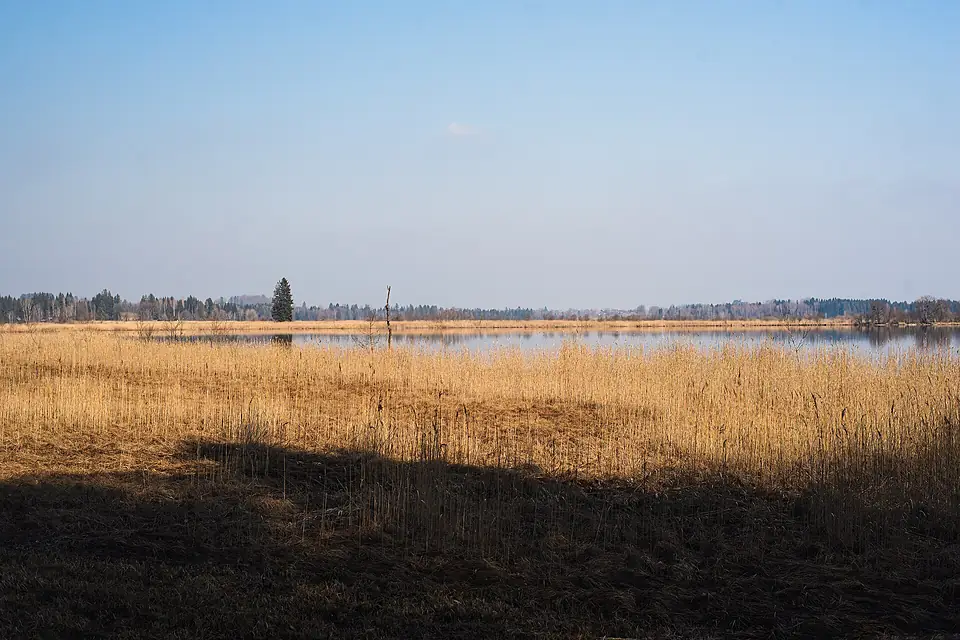 20220319 Staffelsee 01