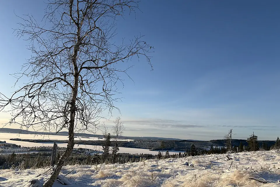 Storavan at ice