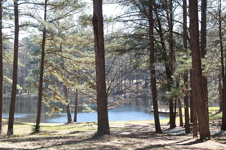 Stuart Lake - Kisatchie National Forest - 001 (51716256901)