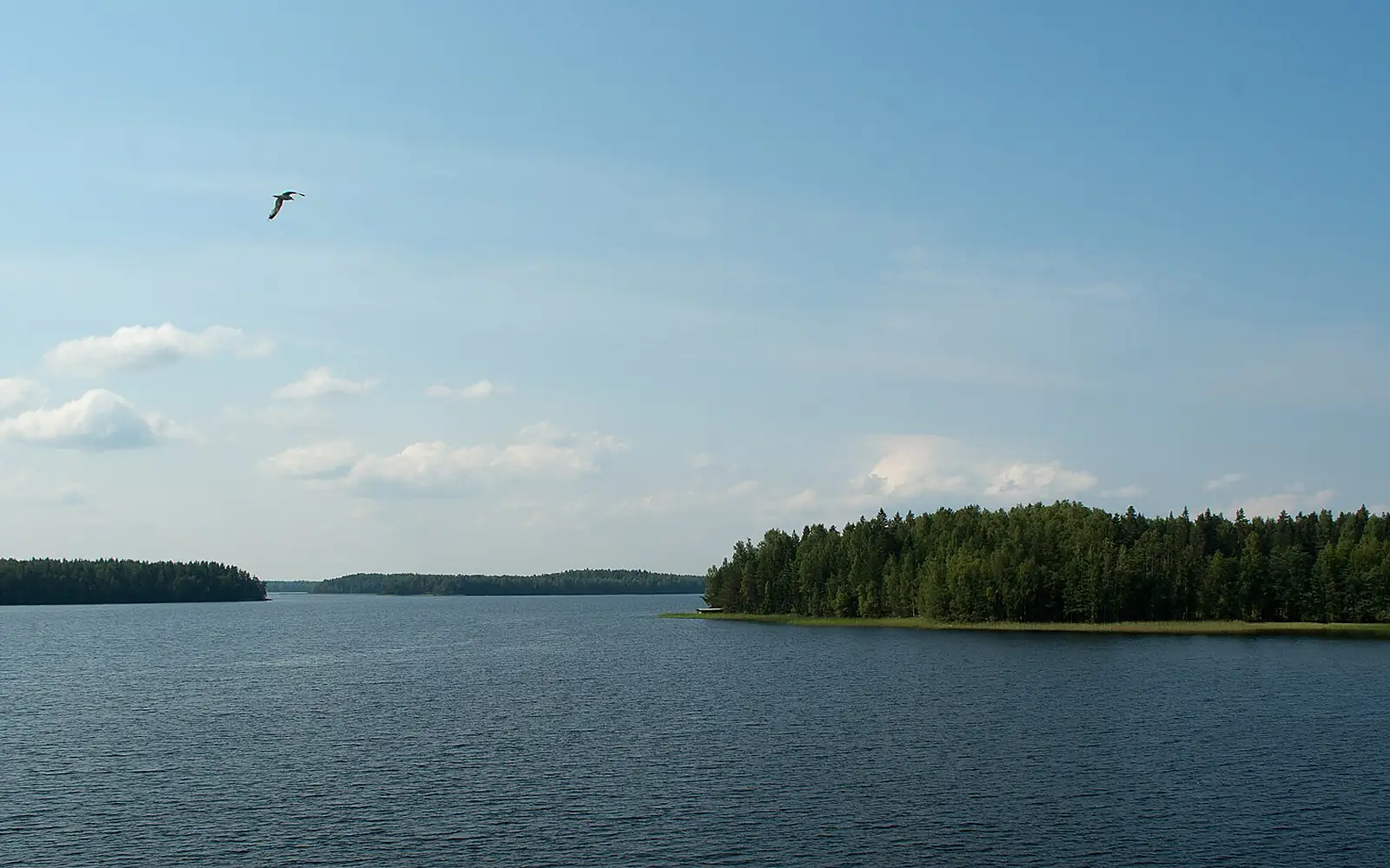 Suontee from Marjotaipaleentie